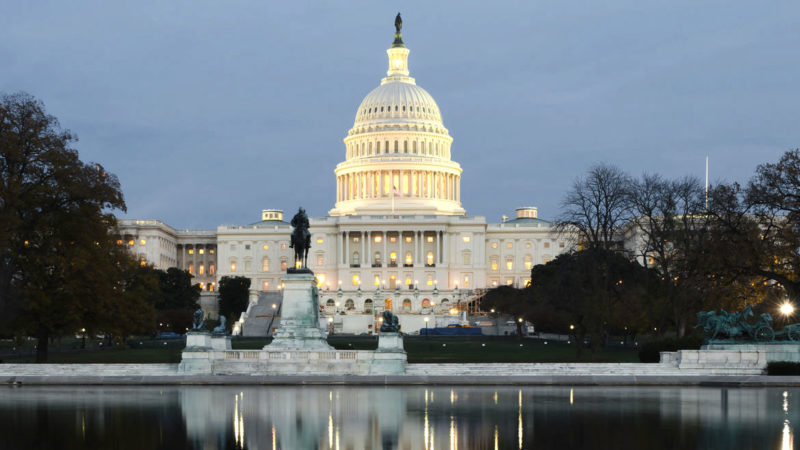 The United States Capitol building in Washington DC